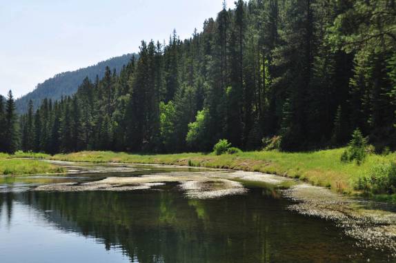 A linda paisagem de uma estrada cênica no norte de Black Hills, em South Dakota, nos Estados Unidos
